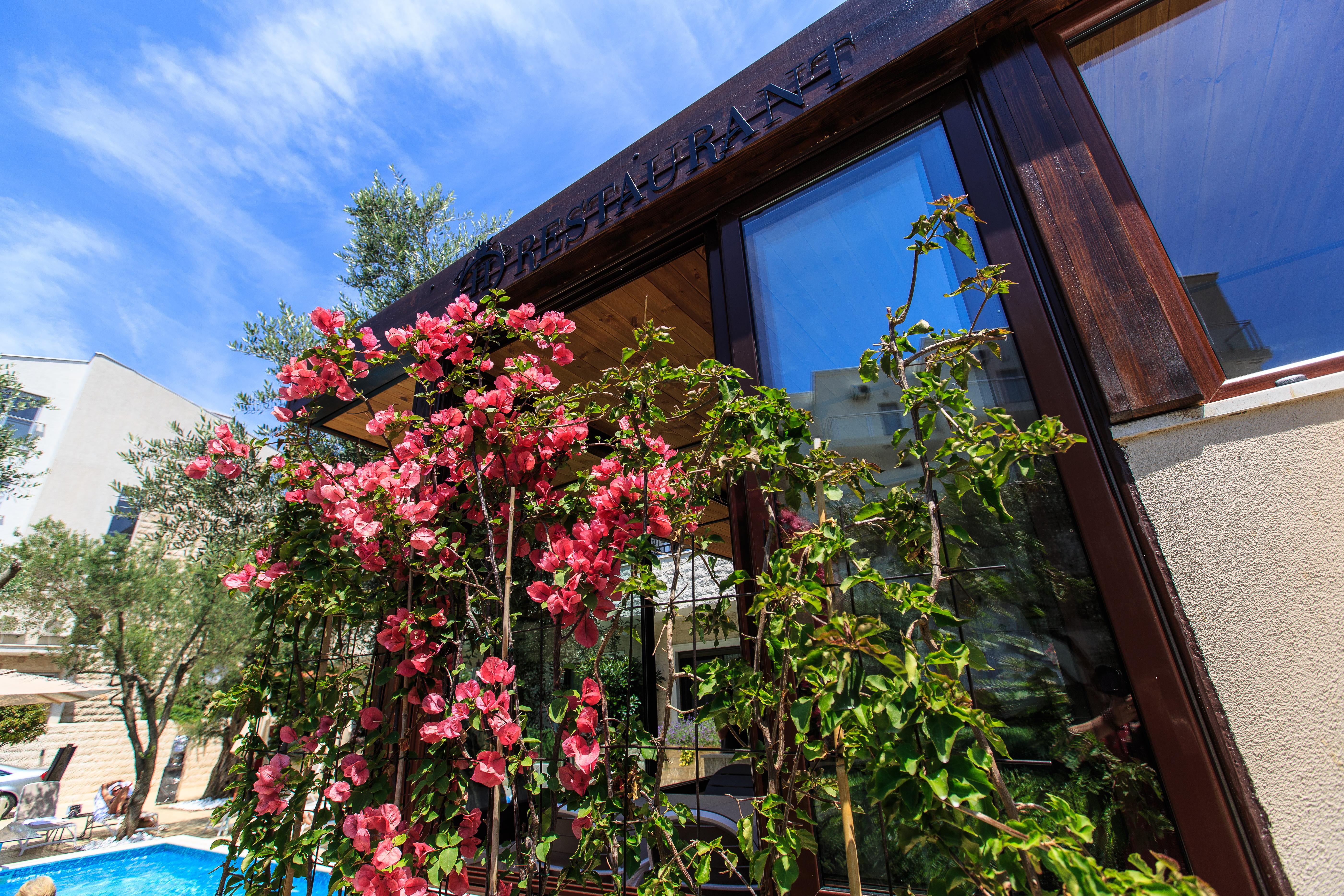 Hotel Harmony By Aycon Petrovac Luaran gambar
